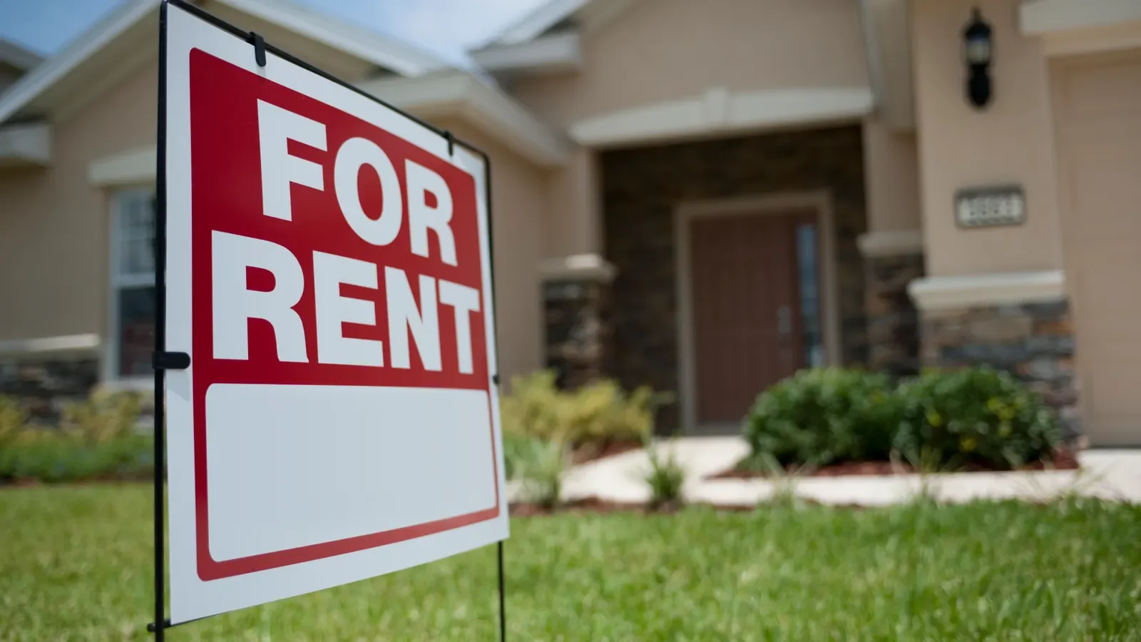 Local Operators Gaining Ground in Property Market Insight