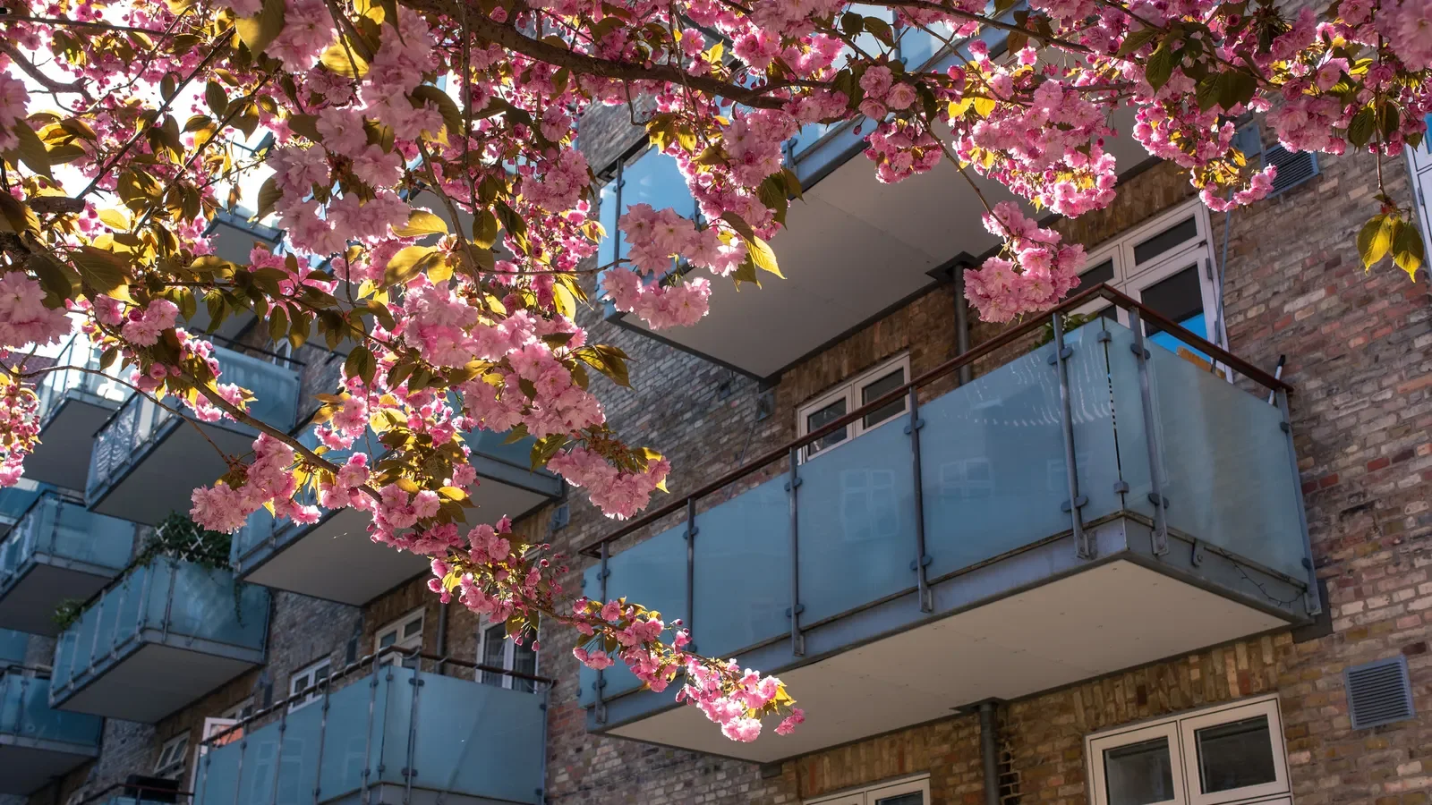 Apartment Rental Growth Slows in April, According to Yardi Data