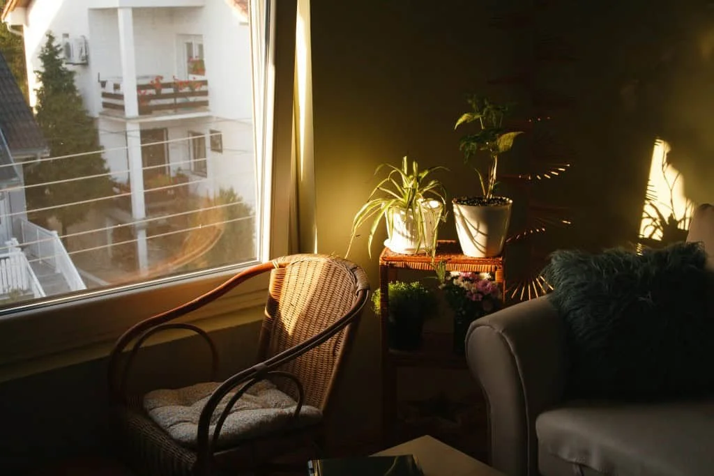 How Much Does Natural Light Matter When Buying a Home?