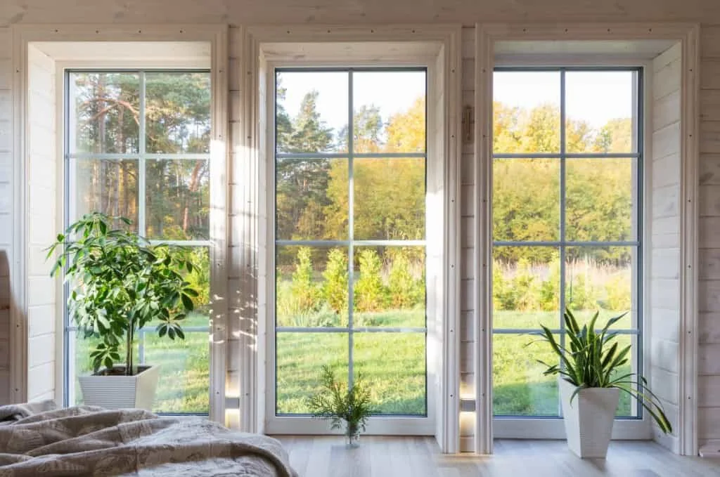 Should You Choose Replacement or New Construction Windows?