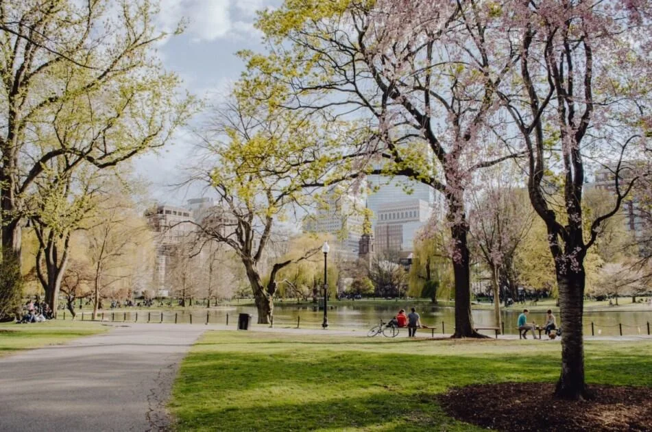 a beautiful park in Boston