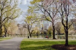 a beautiful park in Boston