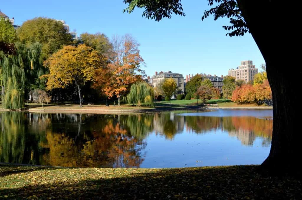 Hidden Gems in Boston, MA That Are Worth the Visit