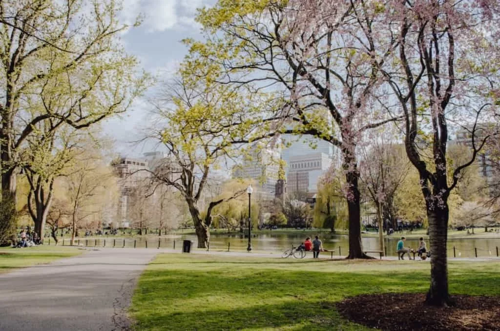 Suffolk County, MA Housing Market Update: August 2026